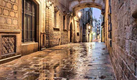 Guided tour to Picasso Museum, the Gothic Quarter and the Borne