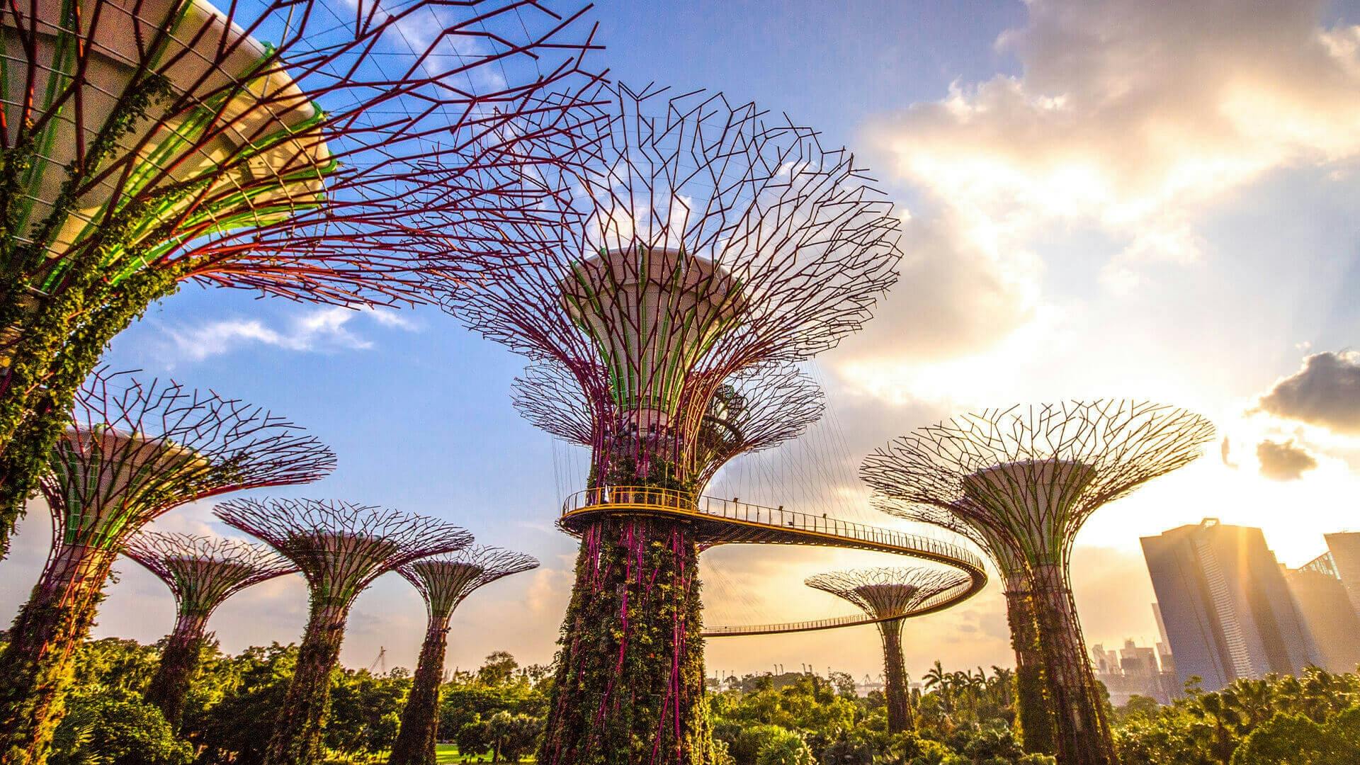 Entrance tickets to the Flower Dome and the Supertree Observatory
