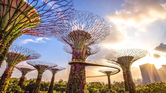 Entrance tickets to the Flower Dome and the Supertree Observatory