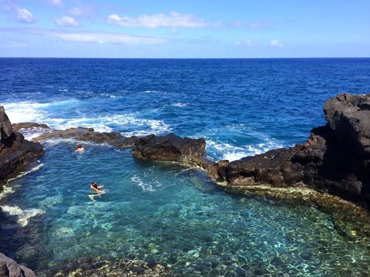 Tour of La Palma's Botanical North