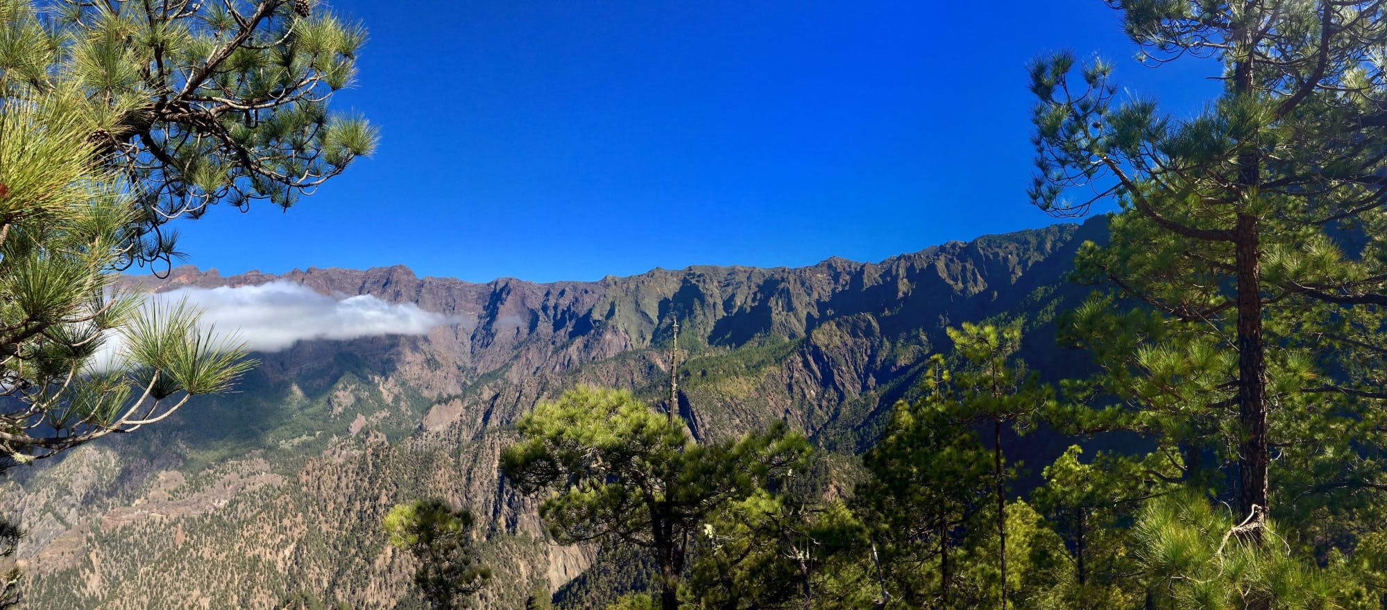 Colourful South of La Palma Tour