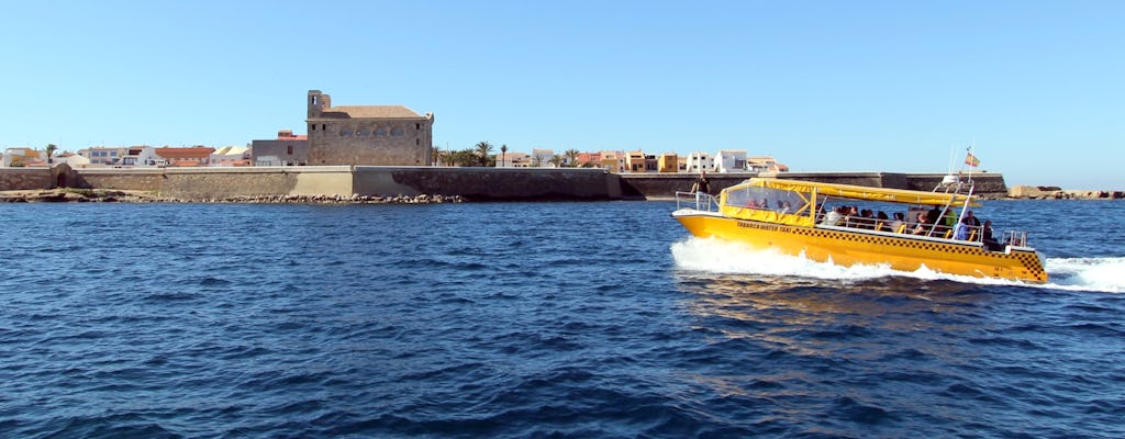 Hin- und Rückfahrt zur Insel Tabarca mit Taxiboot
