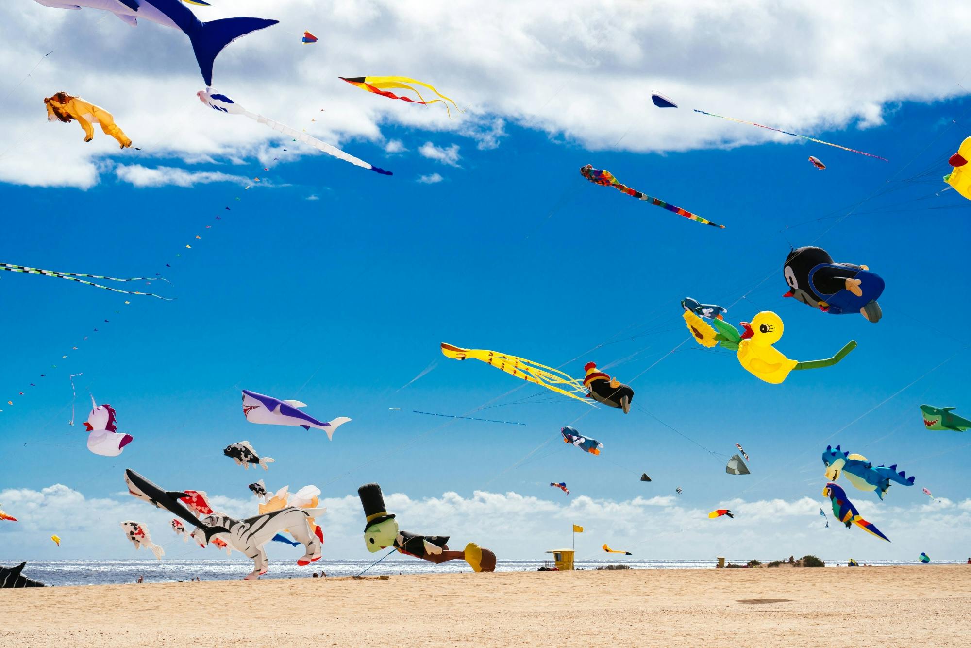 Transfer to International Kite Festival in Corralejo - 13.11.2022