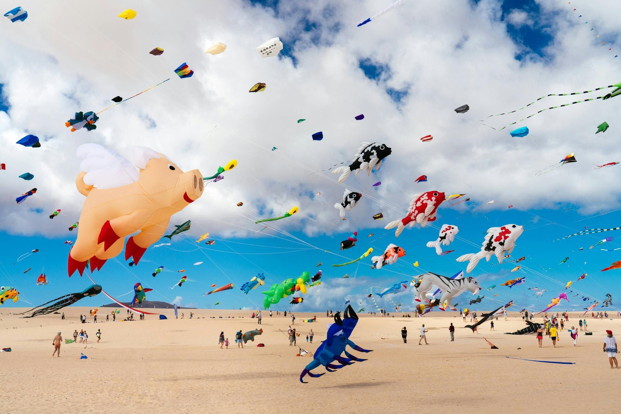 Transfer to International Kite Festival in Corralejo - 13.11.2022