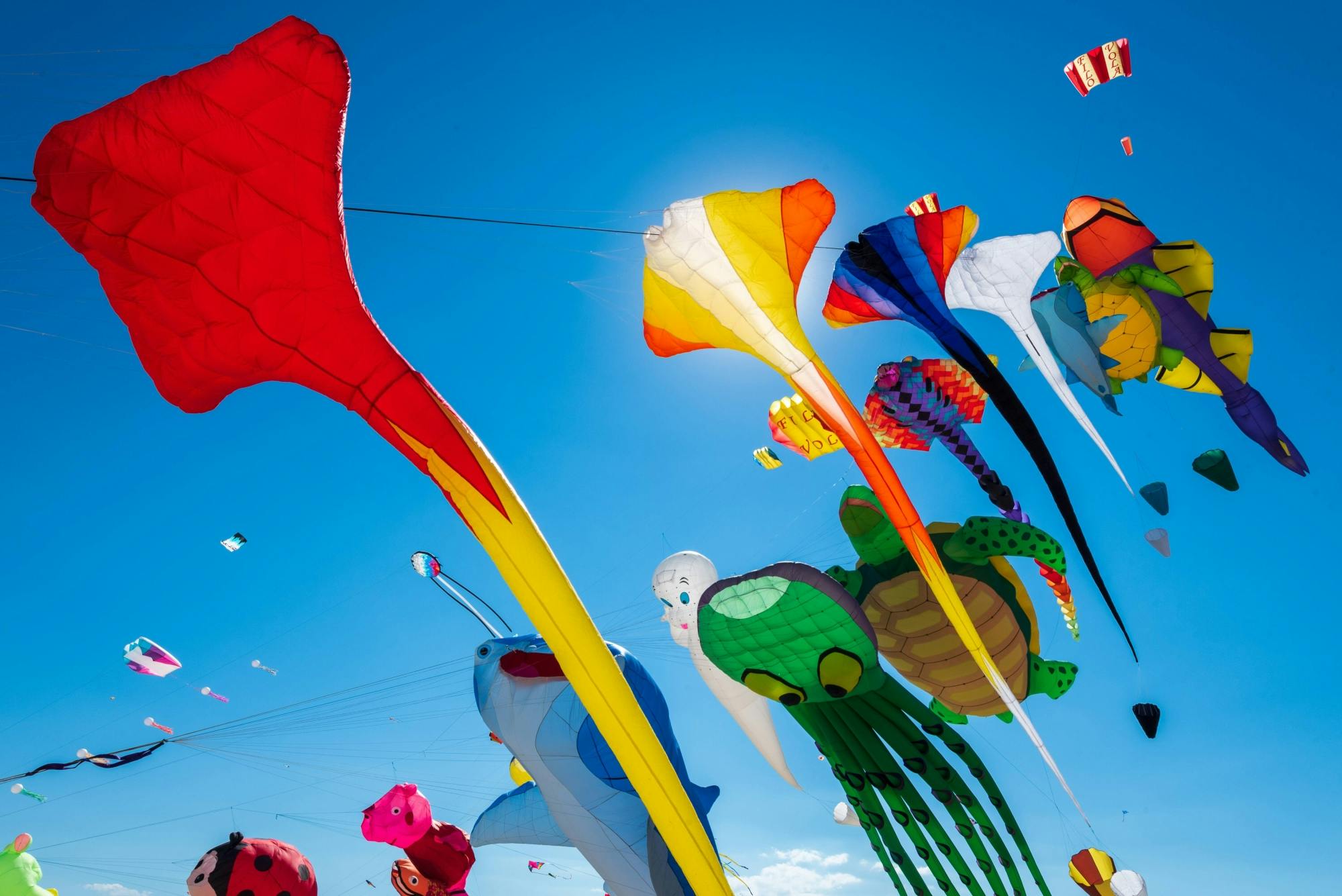 Transfer to International Kite Festival in Corralejo - 13.11.2022