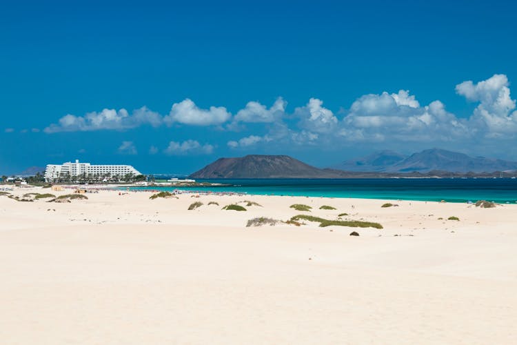 Transfer to International Kite Festival in Corralejo - 13.11.2022