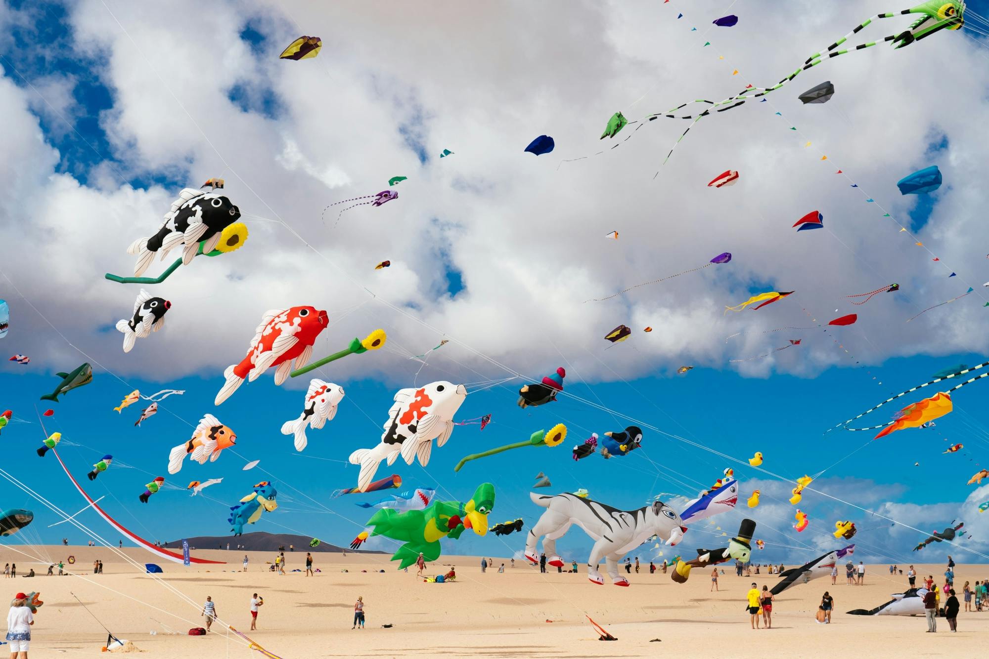 Transfer naar het International Kite Festival in Corralejo - 17.11.2024