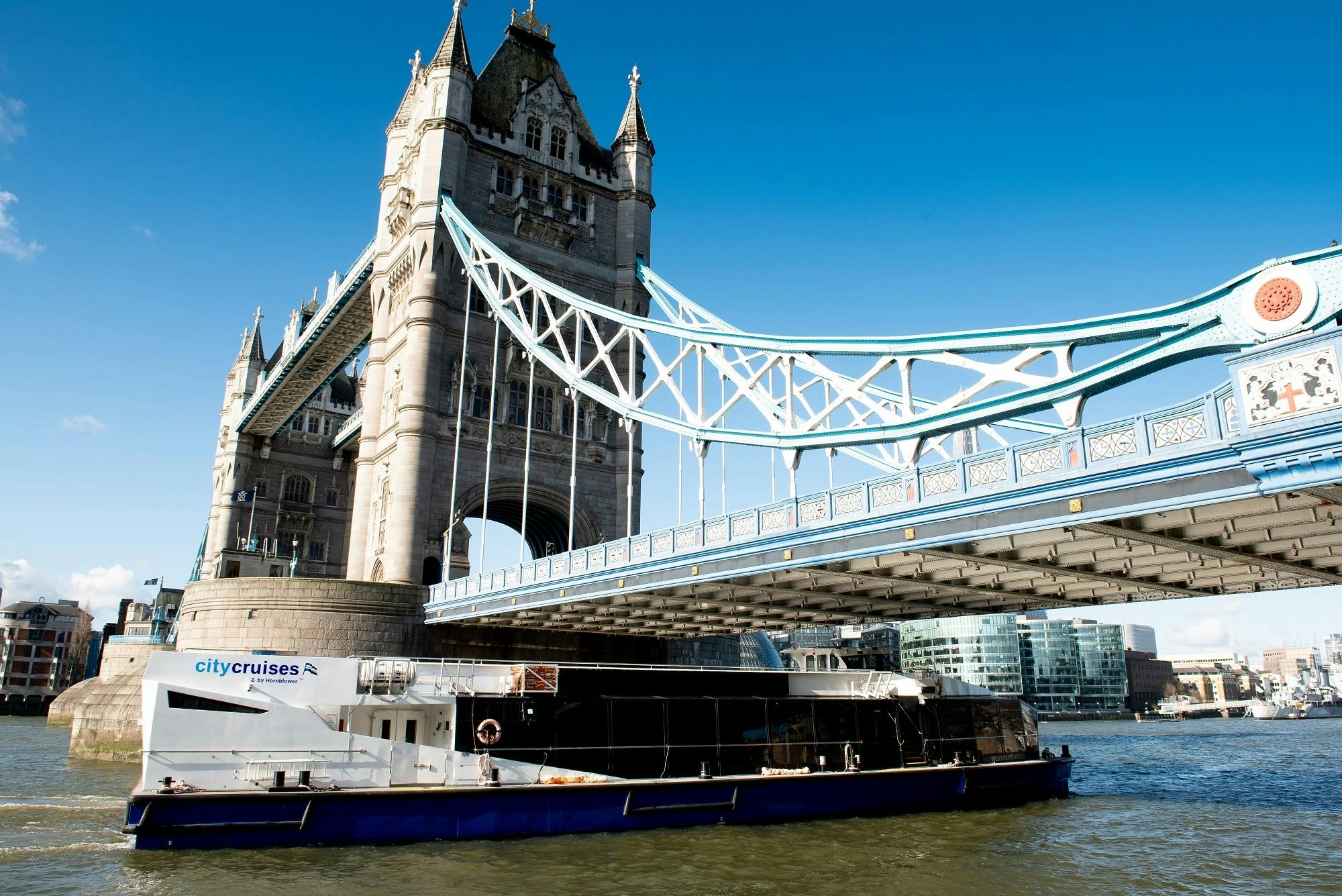 London 24 hour river pass tickets Musement