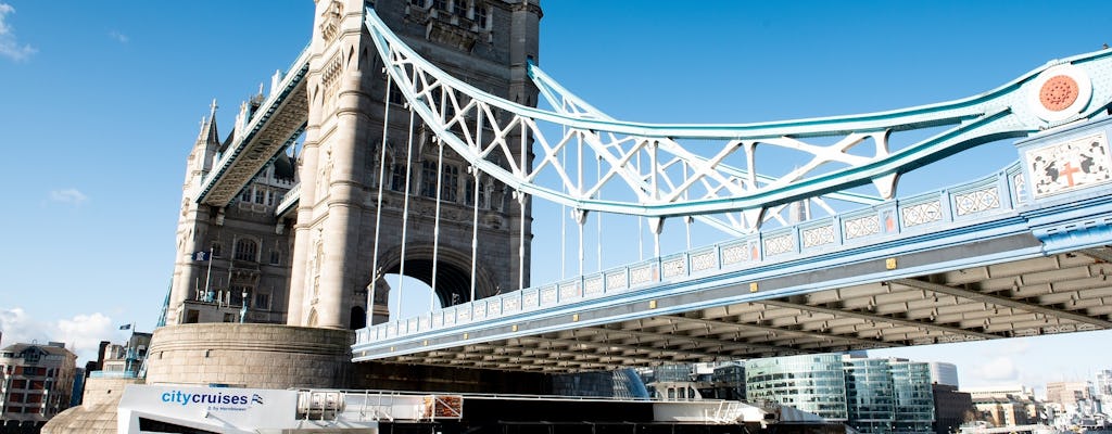 Bilhetes London 24 Hour River Pass