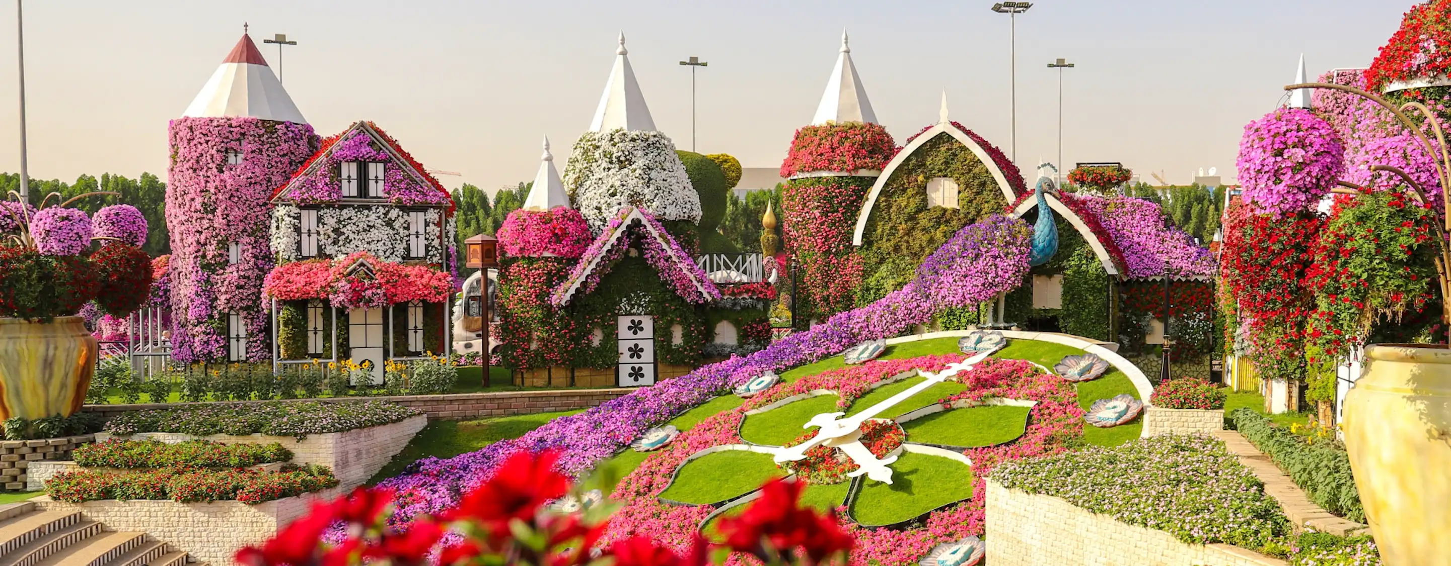 Dubai Miracle Garden