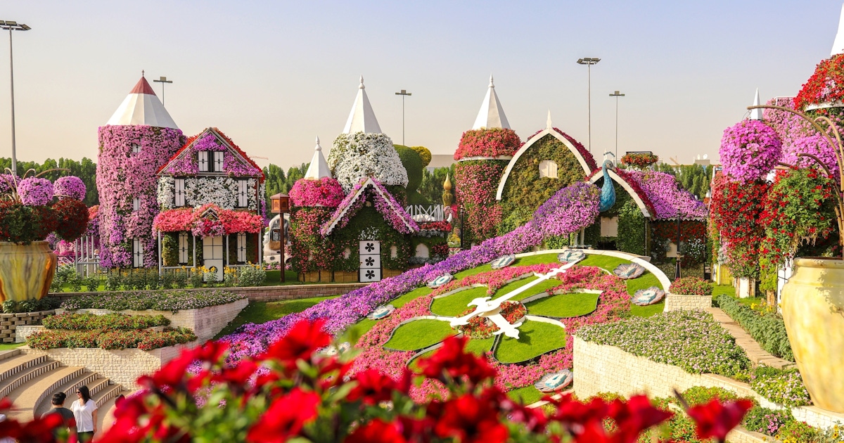 Dubai Miracle Garden Tours & Tickets