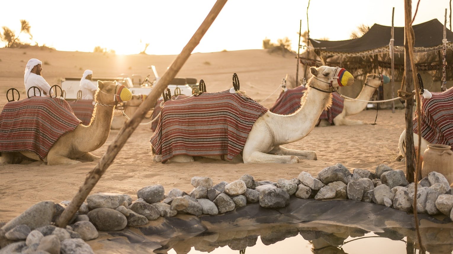 Safari culturel bédouin au départ de Dubaï