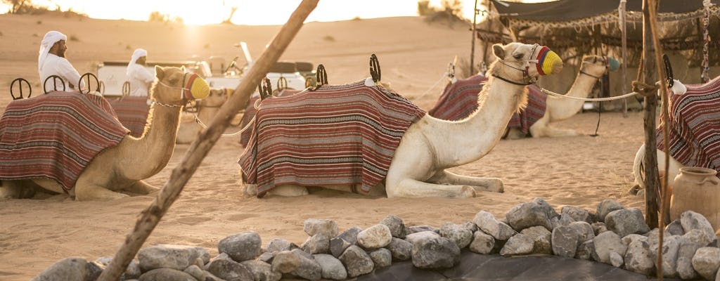 Safari culturel bédouin au départ de Dubaï