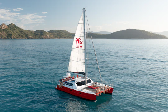 Tongarra Whitsundays Cruise and Snorkeling with Lunch