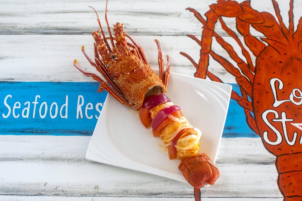 Lobster Experience