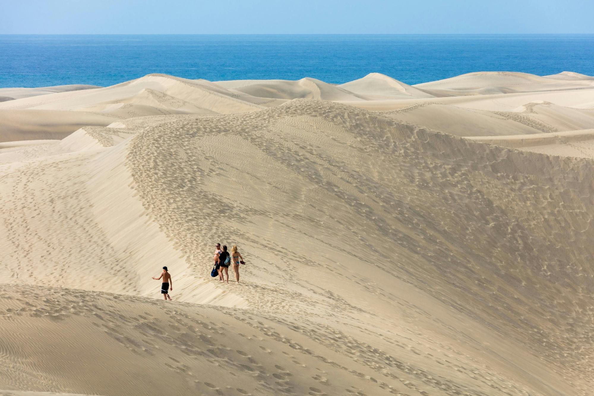 Tour privato personalizzato di Gran Canaria in minivan