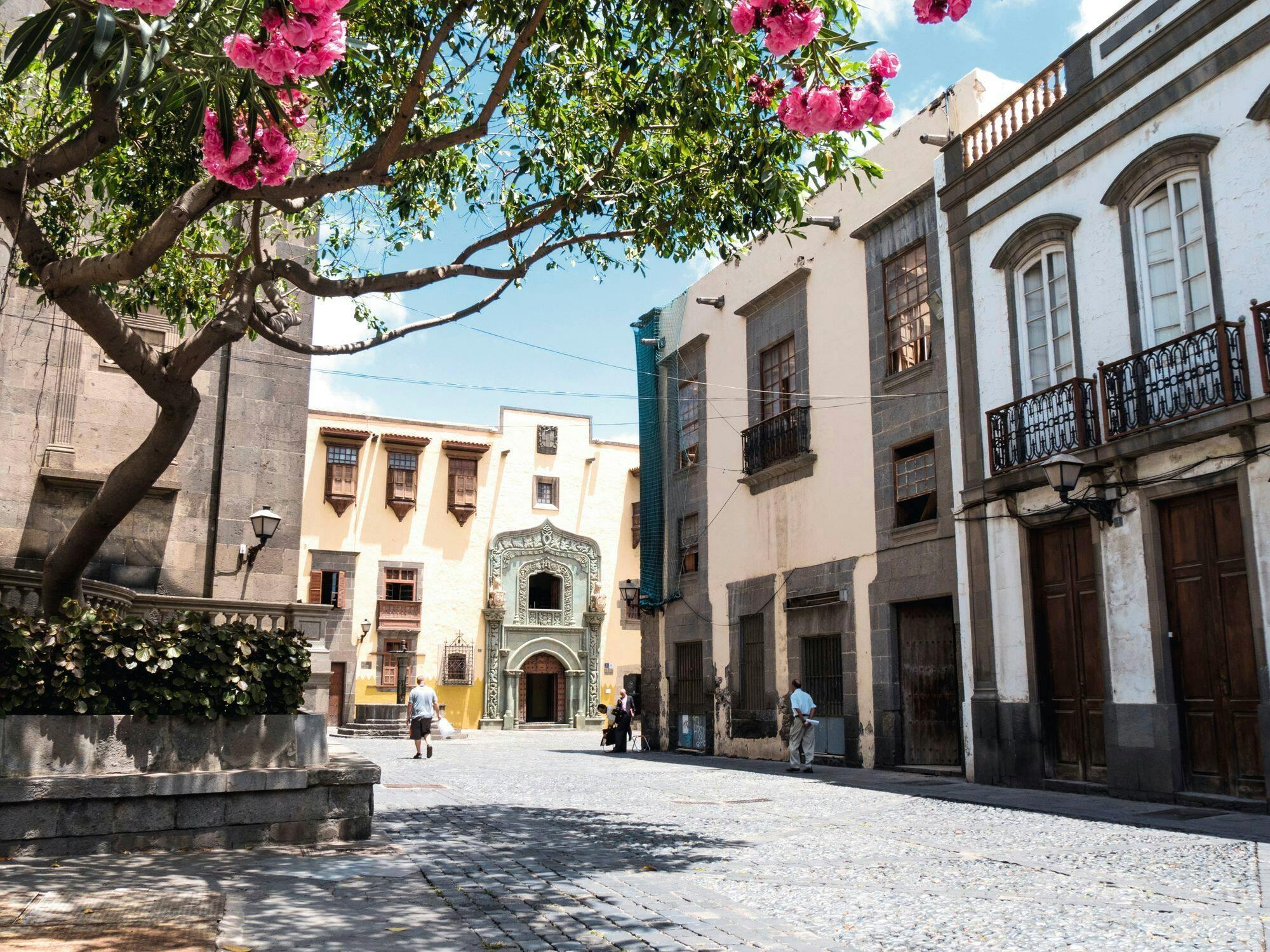 Personalised Private Tour of Gran Canaria in Minivan