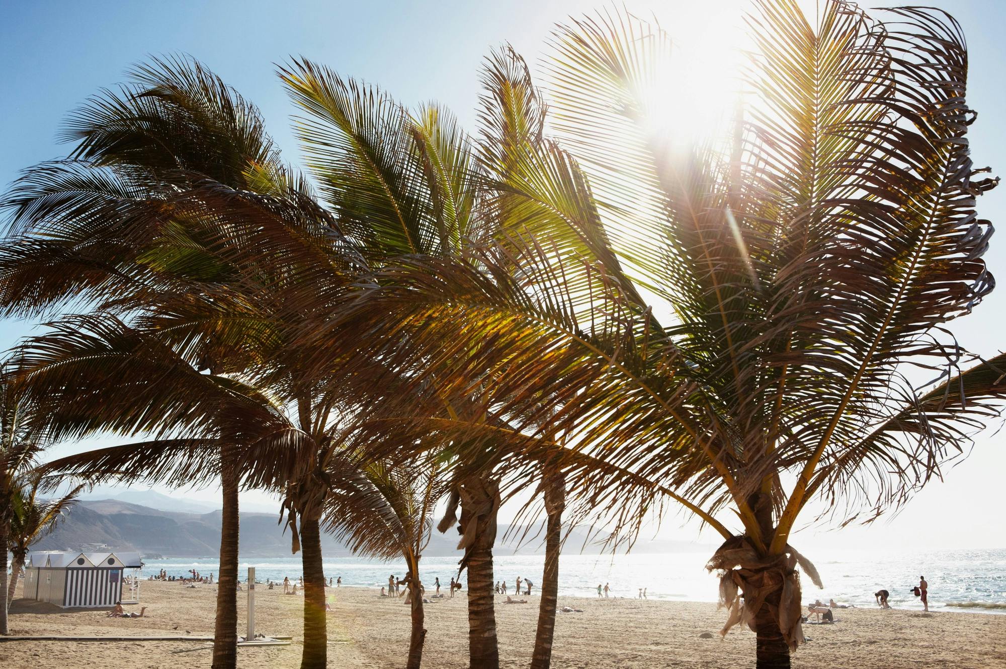 Personalised Private Tour of Gran Canaria in Minivan