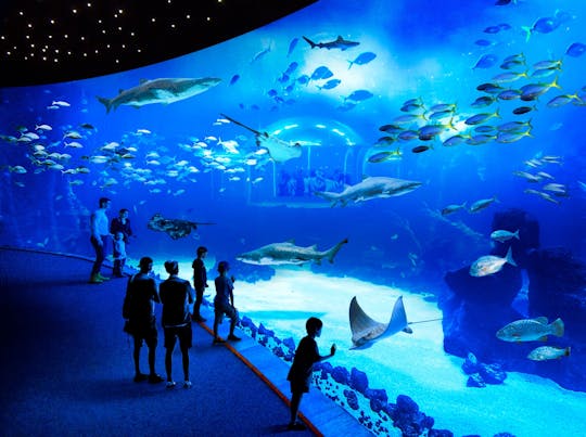 Aquarium Poema del Mar Besuch und Guayadeque Schlucht Tour