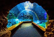 Poema Del Mar Aquarium Visit And Guayadeque Canyon Tour TUI