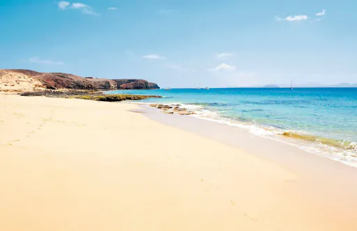 Teguise Market Visit with Papagayo Beaches