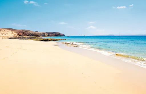 Teguise Market Visit with Papagayo Beaches