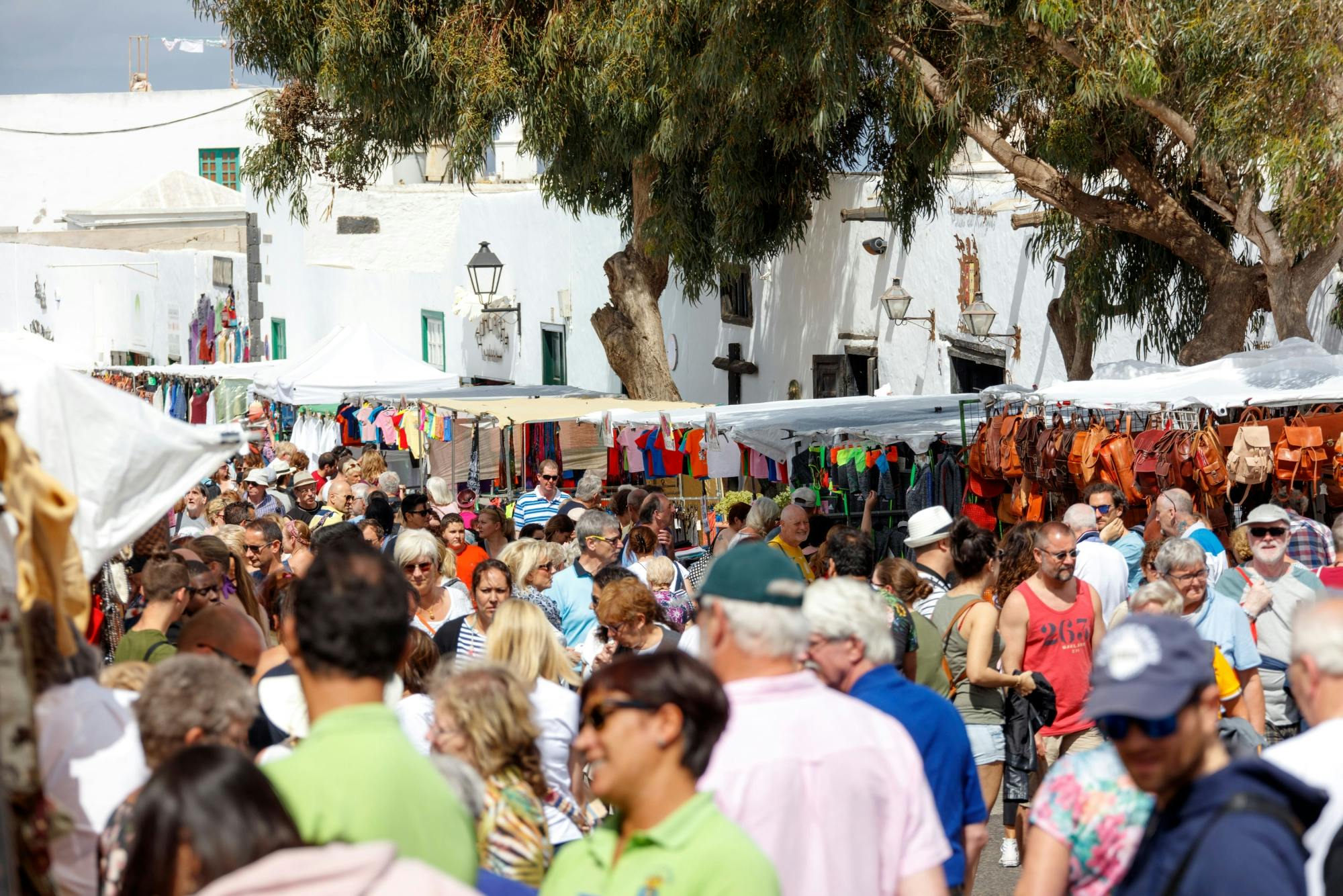 Teguise Sunday Market and LagOmar Visit