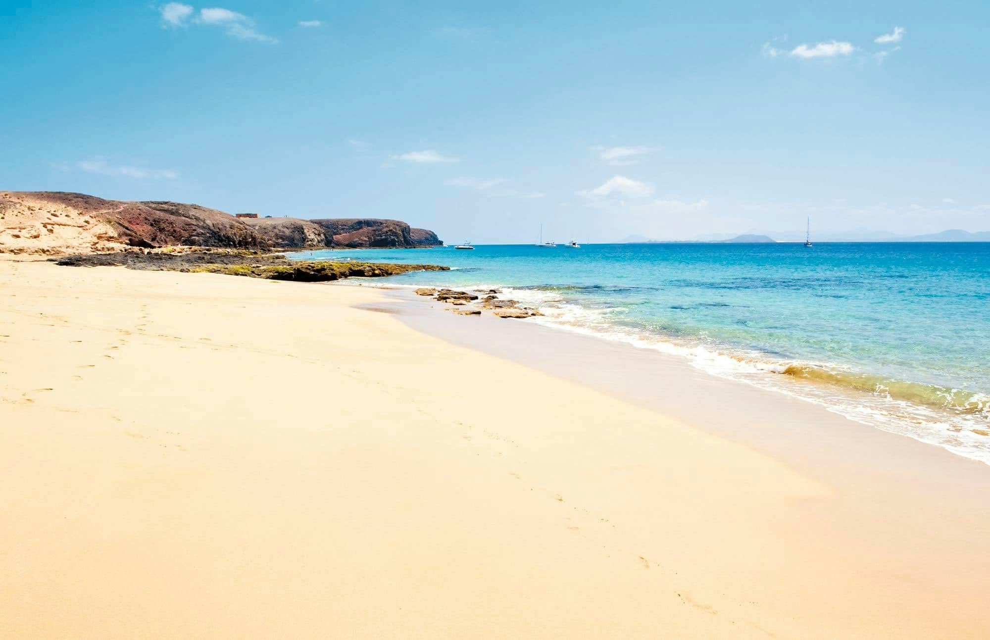 Teguise Market Visit with Papagayo Beaches