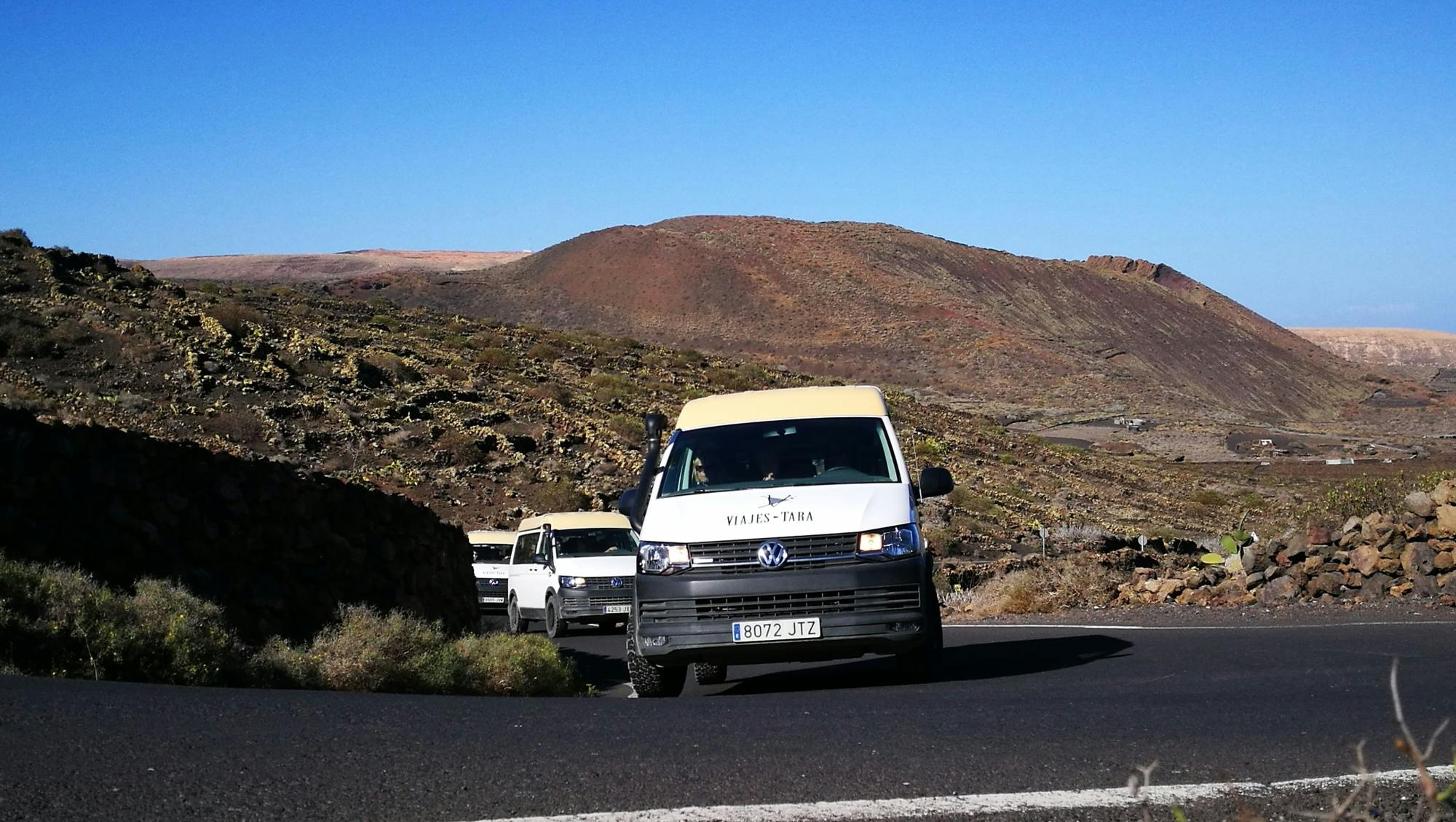 Camel Ride and Minivan Tour at Timanfaya National Park