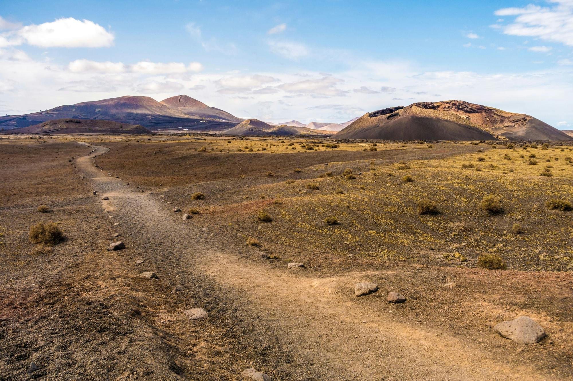 Camel Ride and Minivan Tour at Timanfaya National Park