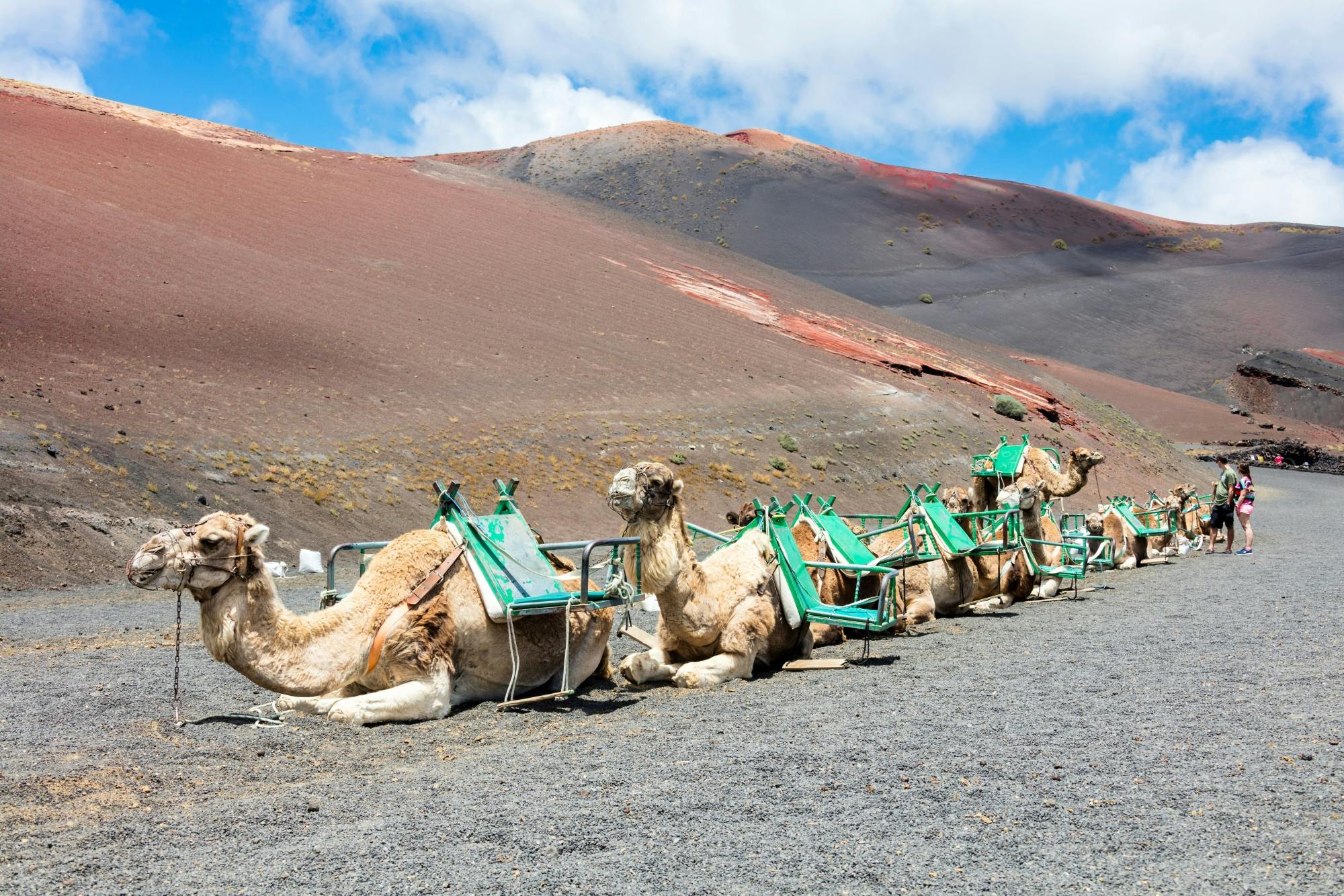 Camel Ride and Minivan Tour at Timanfaya National Park