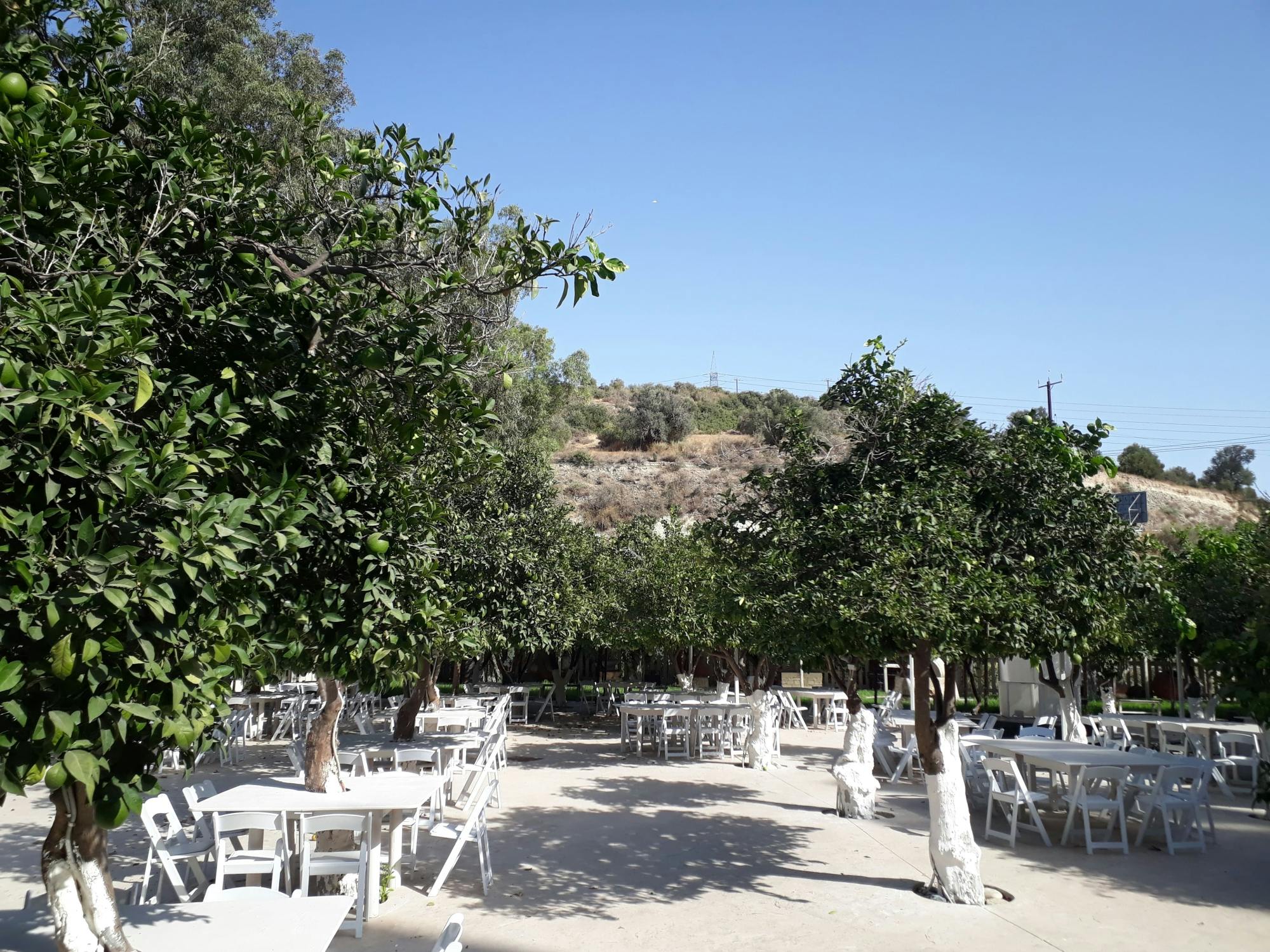 Cyprus Villages & Food Small Group Tour