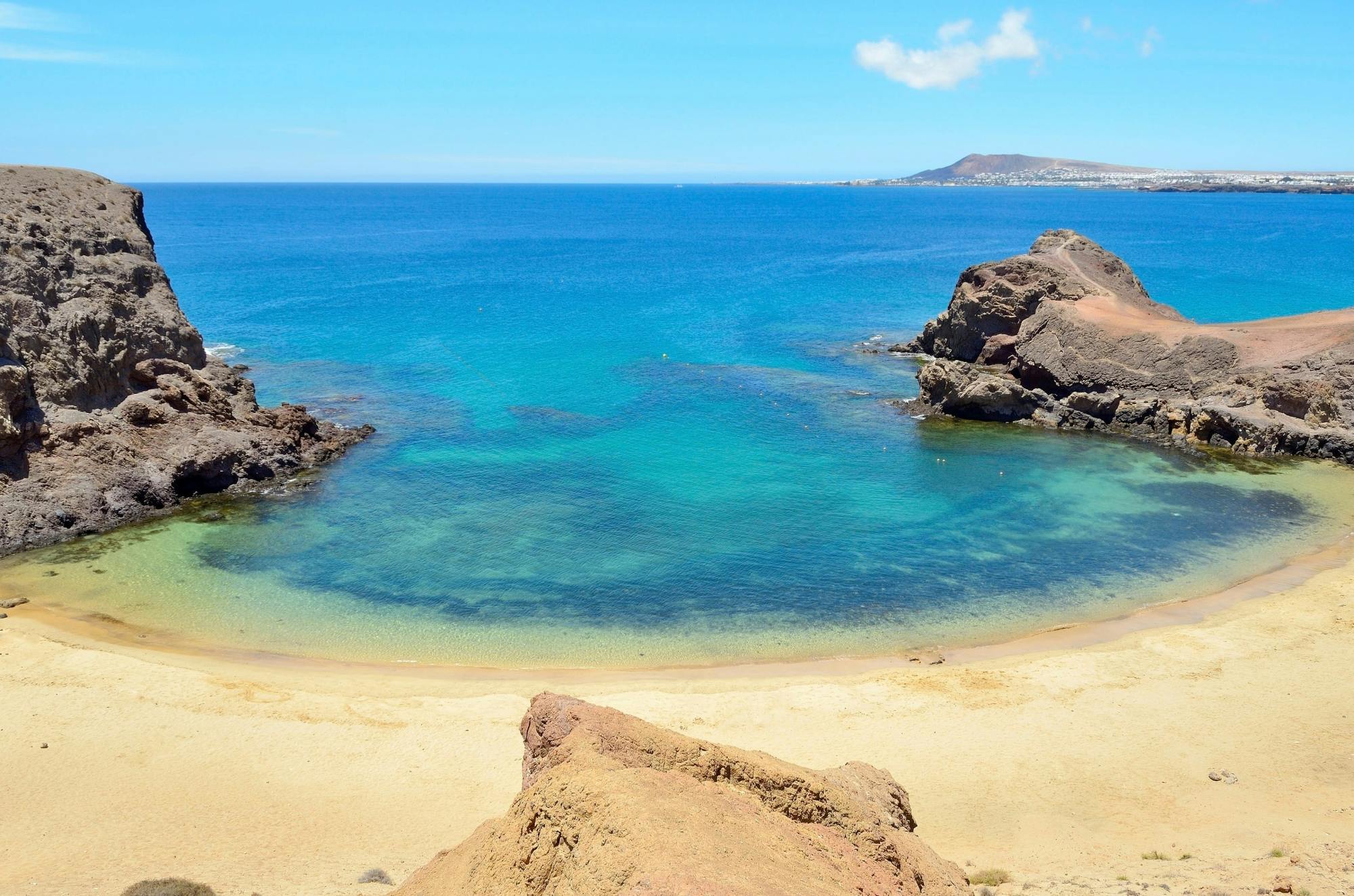 Teguise Market Visit with Papagayo Beaches