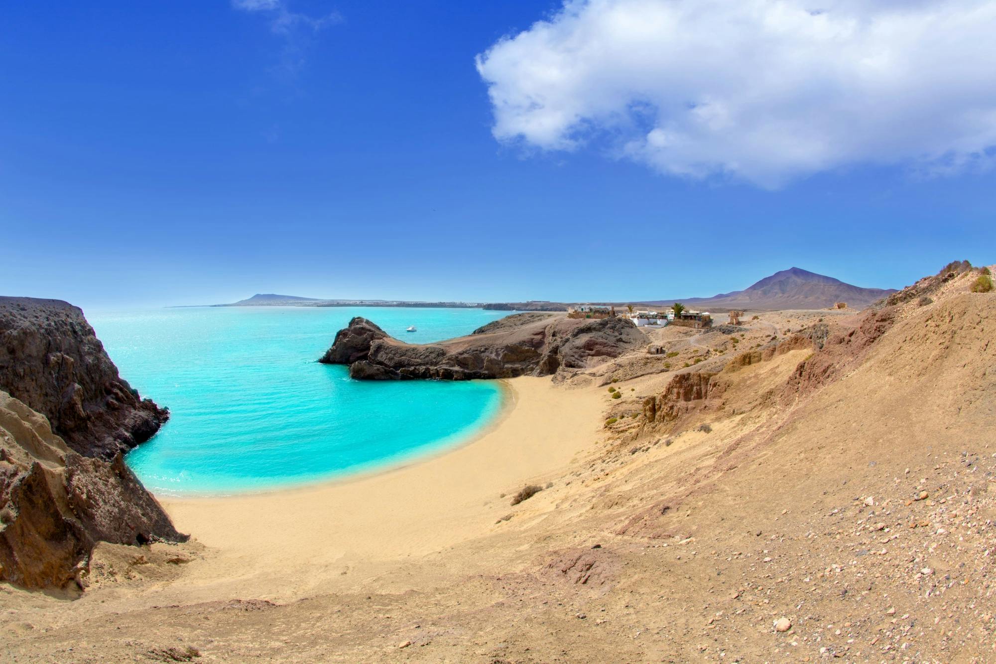 Teguise Market Visit with Papagayo Beaches
