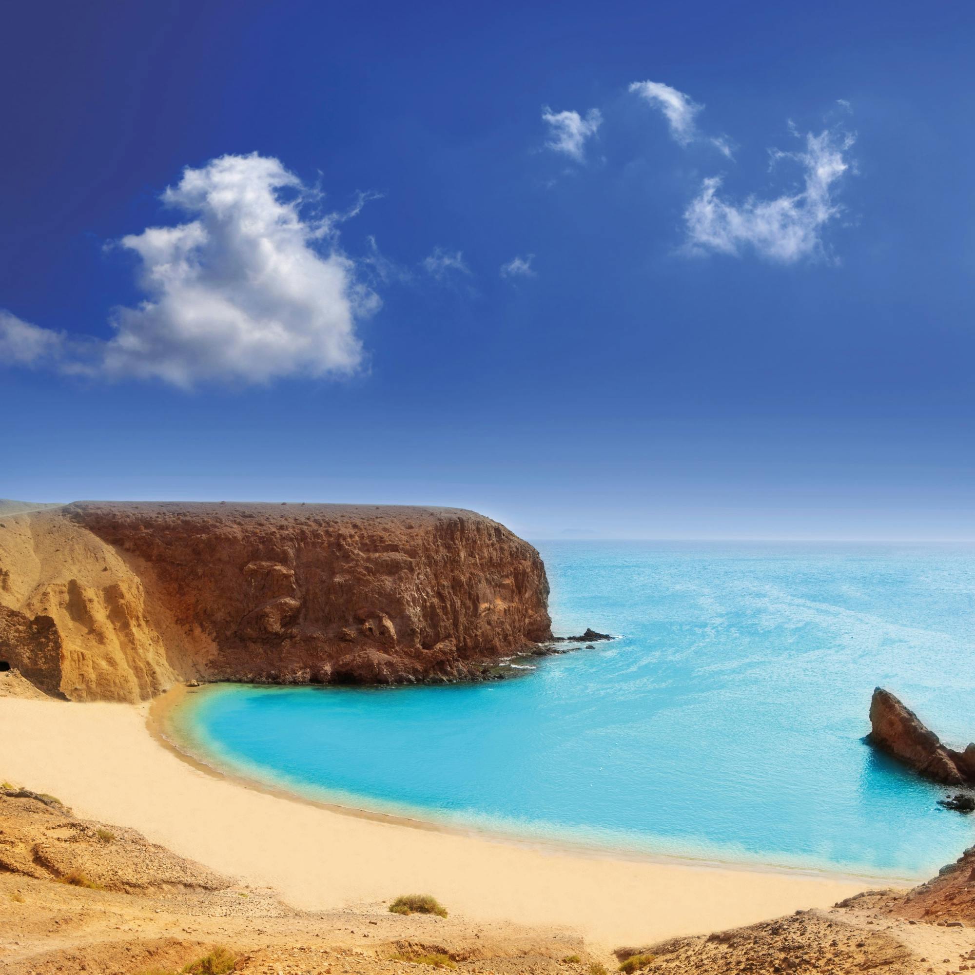 Teguise Market Visit with Papagayo Beaches