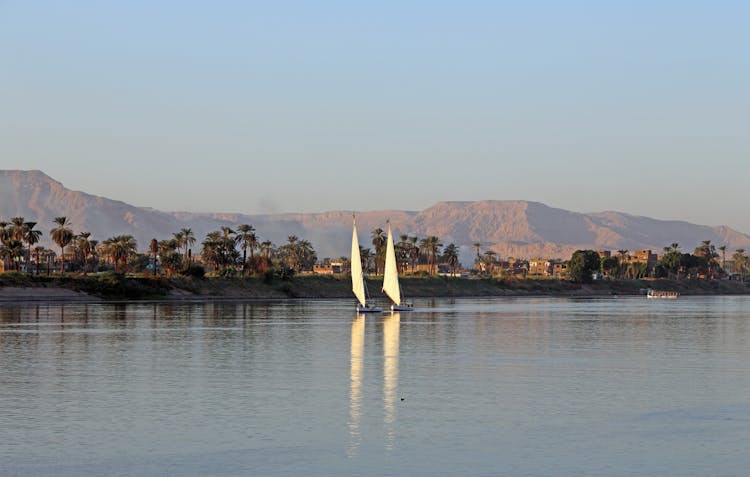 Luxor guided tour from Marsa Alam with Nile cruise and lunch