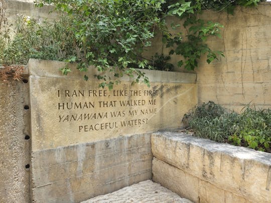 Heart of old San Antonio walking guided tour