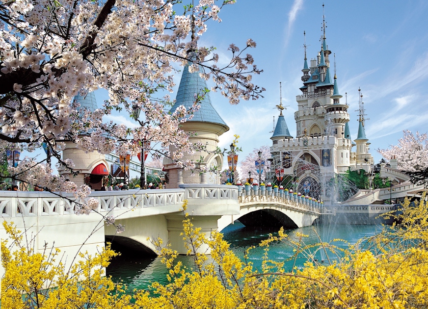 lotte world b1 wild tour entrance
