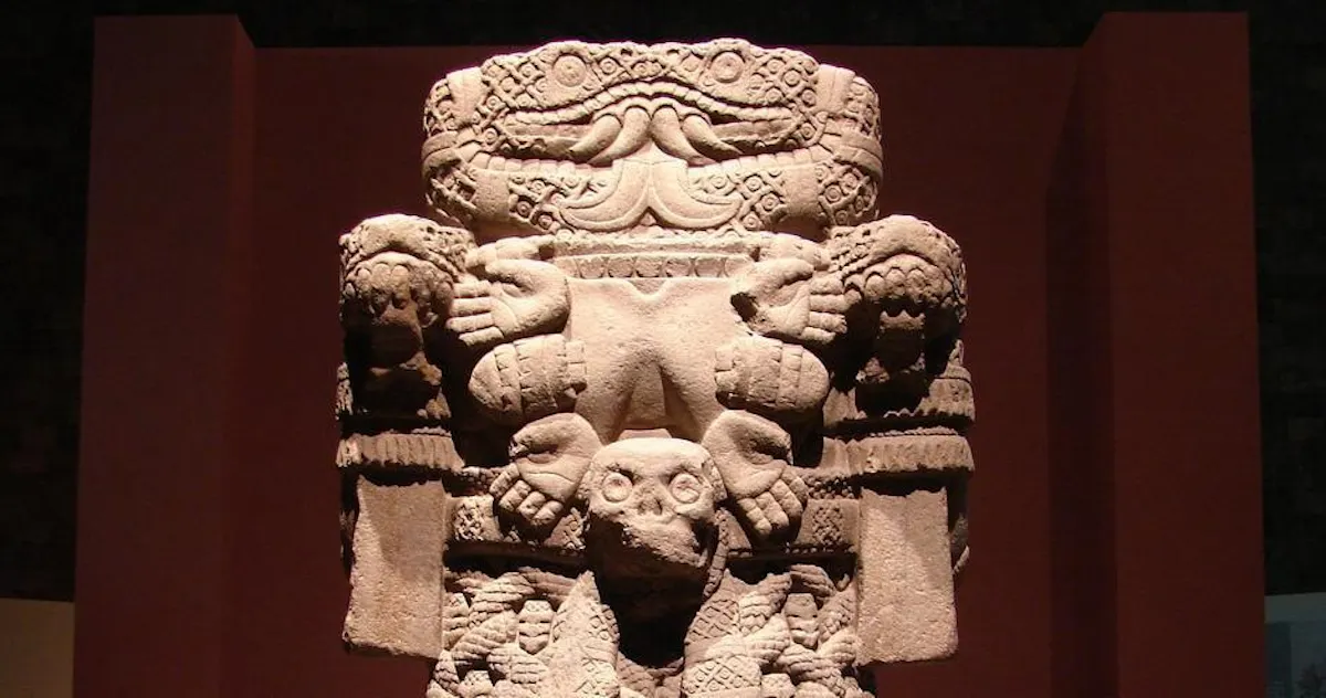 fareharbor-amigotoursmexico|236562-429776