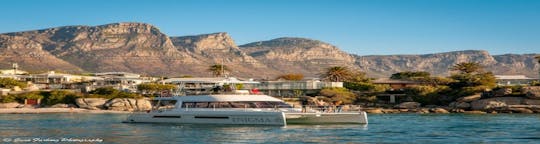 Cape Town coastal boat experience and sushi meal