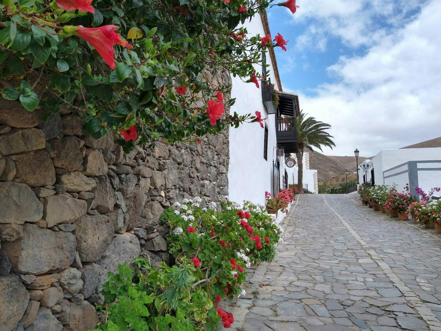 Fuerteventura Small Group Tour with tapas and wine