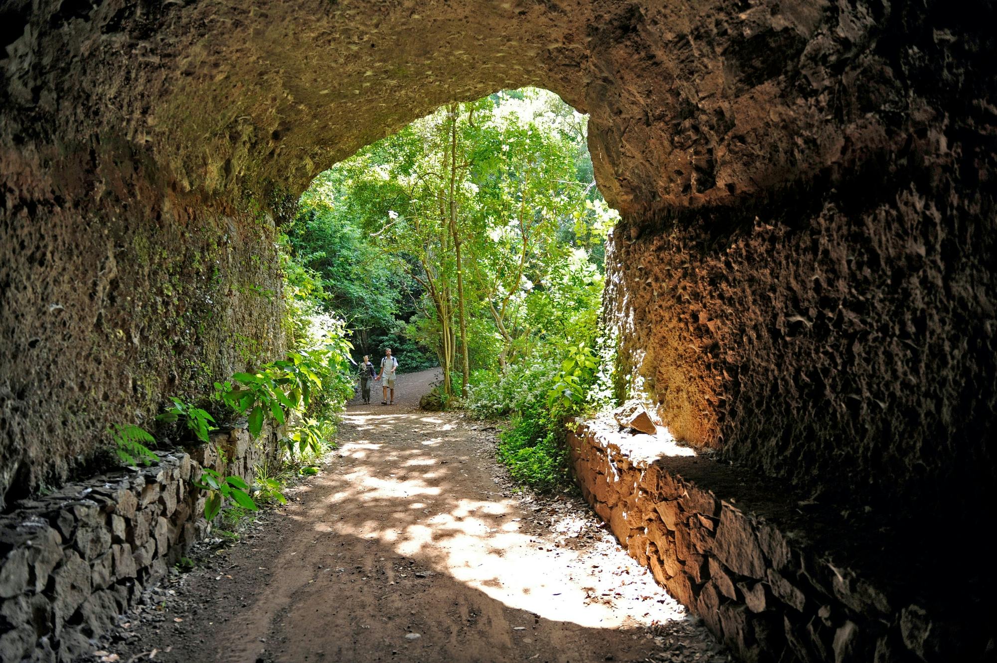 Northeast La Palma Tour with Los Tiles and Rum Tasting