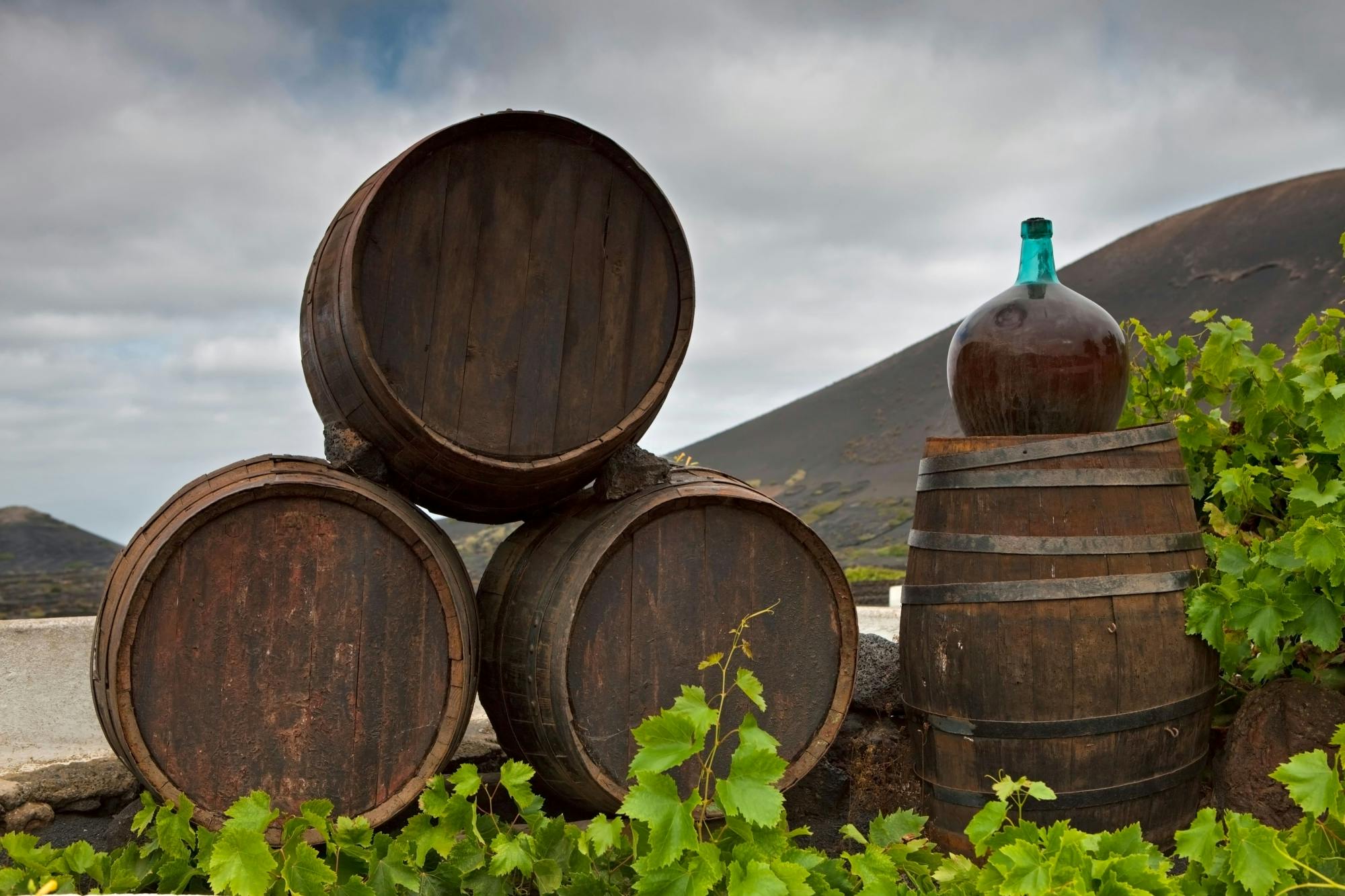 Lanzarote Tour with Timanfaya National Park, Winery and El Golfo