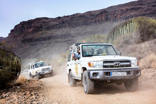 Fuerteventura 4x4 og Catamaran Tour