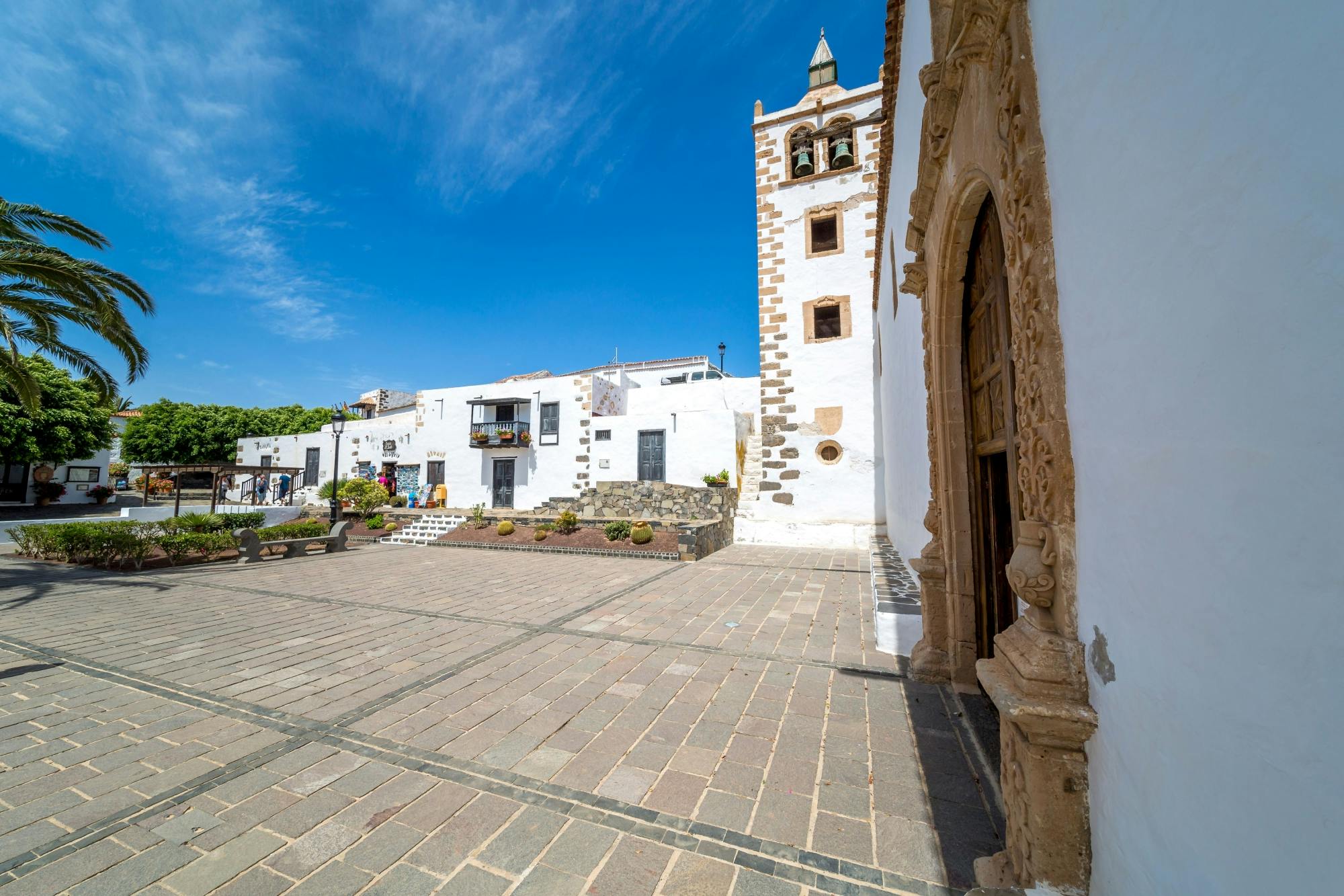 Fuerteventura Caves and Farm Tour