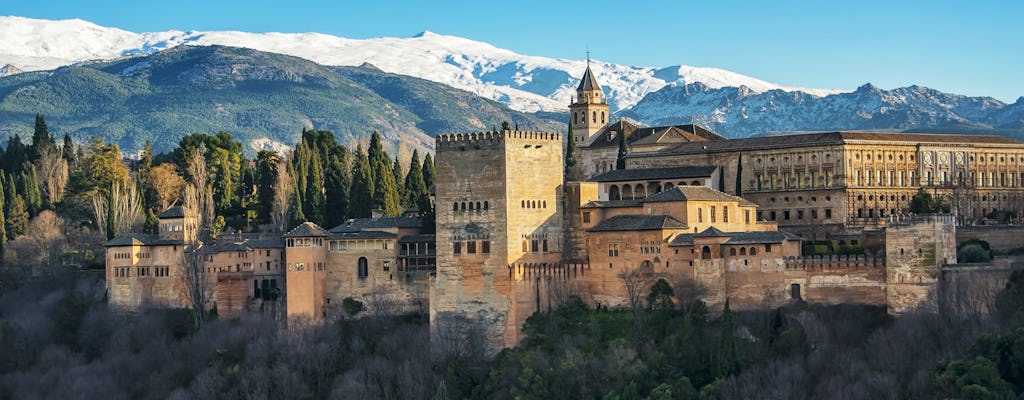 Alhambra e Generalife Tour Premium en Español