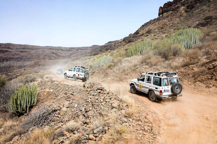 Private Sunset Safari Tour to El Cotillo