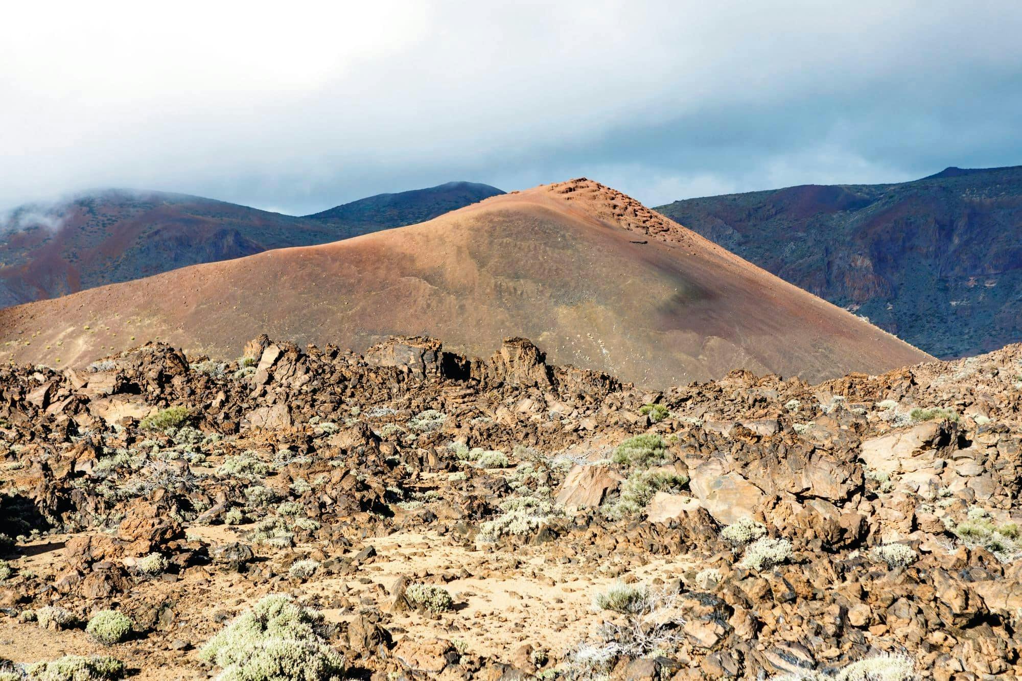 Teide National Park Tour from Puerto de La Cruz and Punta del Rey