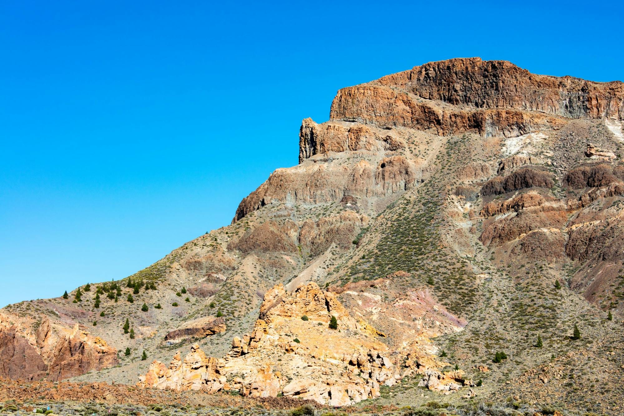 Teide National Park Tour from Puerto de La Cruz and Punta del Rey