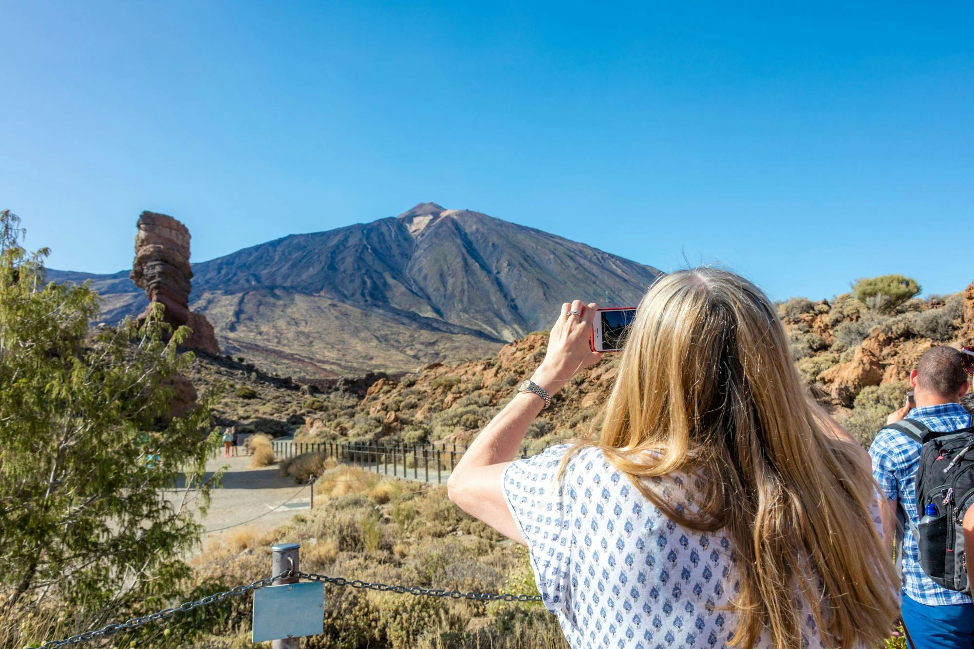 Teide National Park Tour from Puerto de La Cruz and Punta del Rey